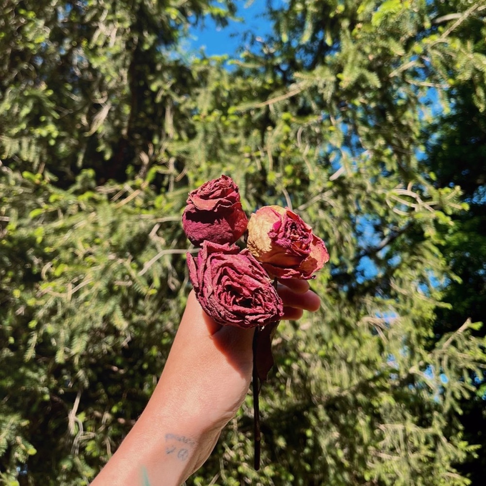🥀🖤Air Dried Roses🖤🥀 - Picture 2 of 2